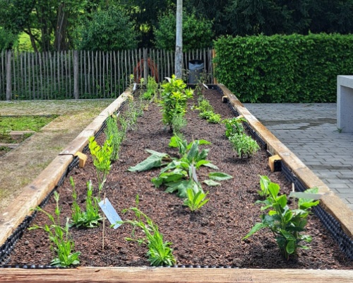 Kraeuterhochbeet